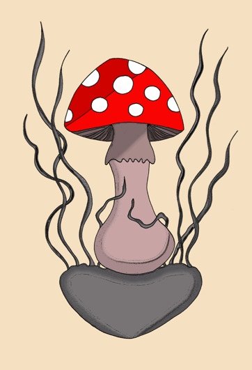 Illustrations originales 